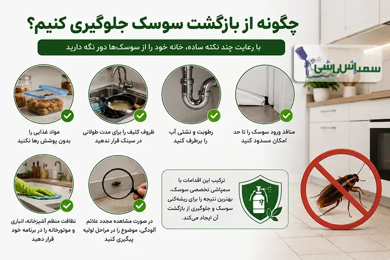 چگونه از بازگشت سوسک جلوگیری کنیم؟