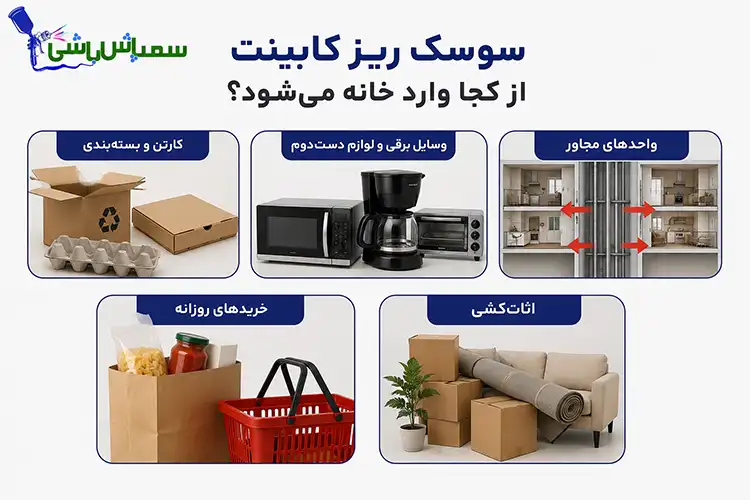 سوسک ریز کابینت از کجا وارد خانه می‌شود؟