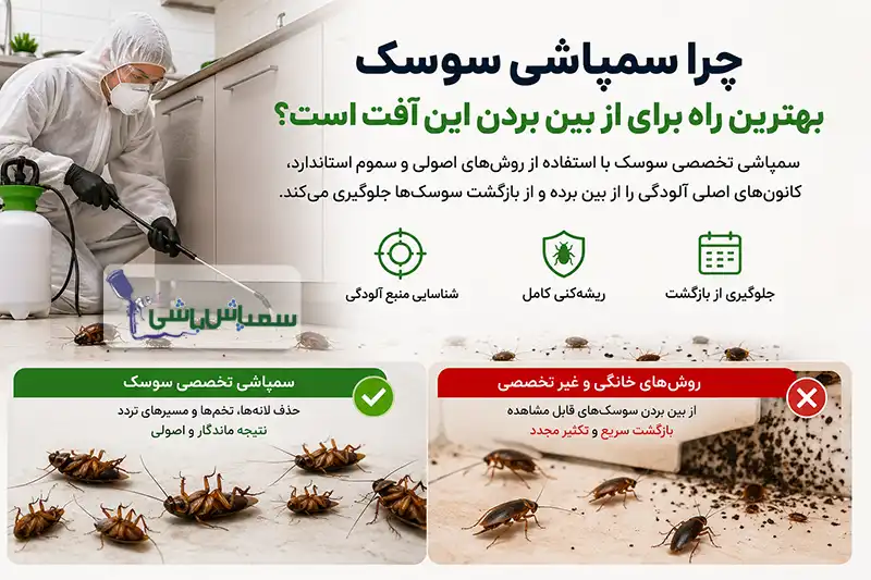 چرا سمپاشی سوسک بهترین راه برای از بین بردن این آفت است؟
