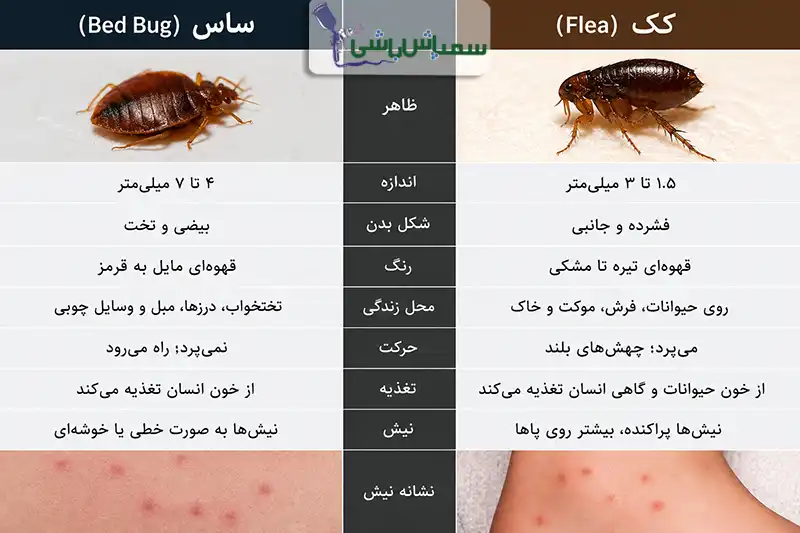 بررسی تفاوت ساس و کک