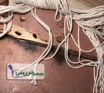 سمپاشی در رودهن