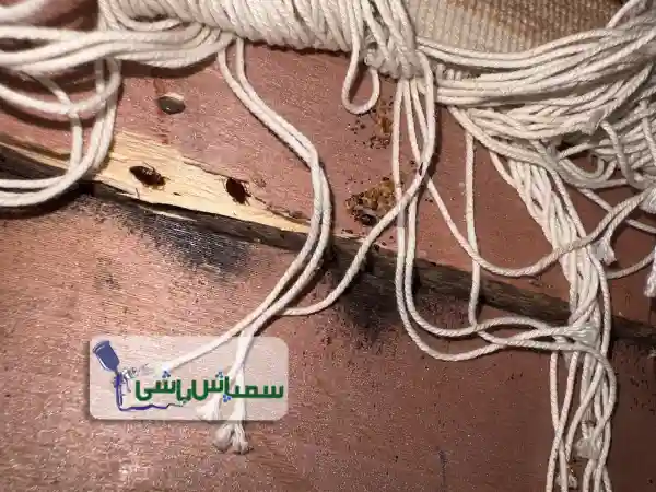 سمپاشی در رودهن