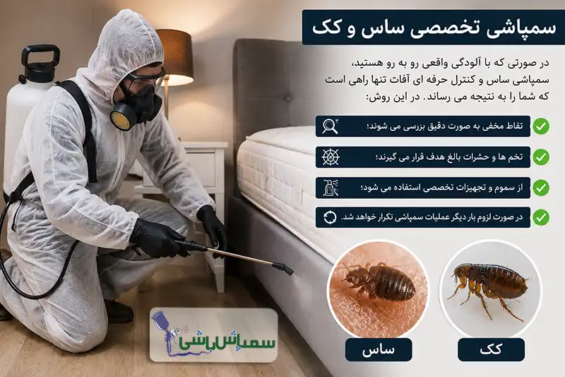 سمپاشی تخصصی ساس و کک