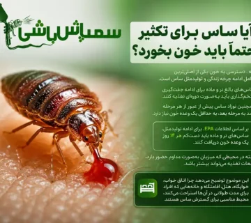 آیا ساس برای تکثیر حتماً باید خون بخورد؟