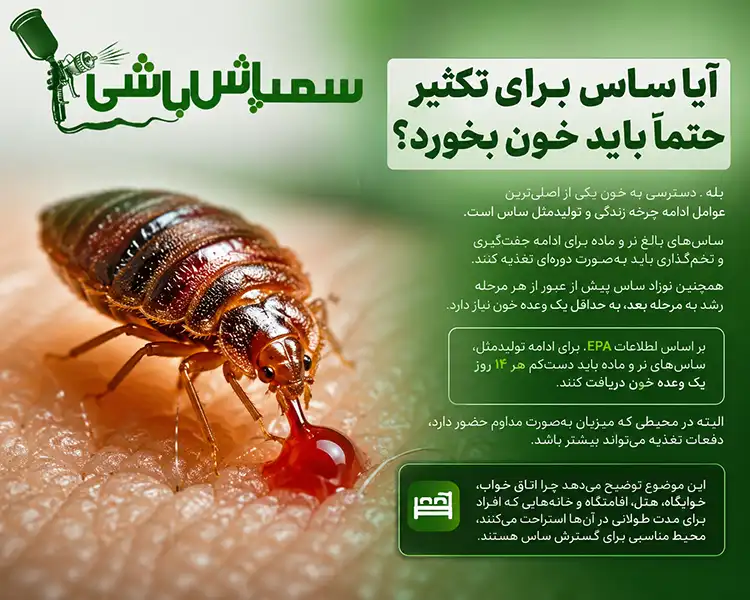 آیا ساس برای تکثیر حتماً باید خون بخورد؟