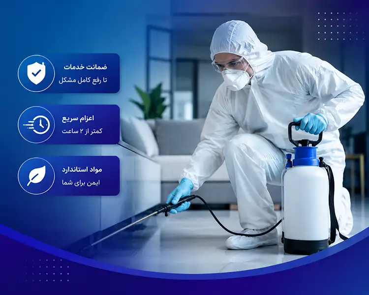 سمپاشی حشرات