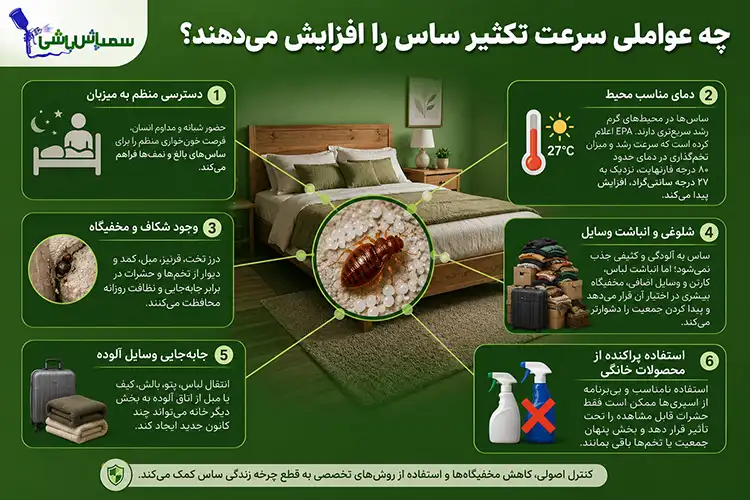 چه عواملی سرعت تکثیر ساس را افزایش می‌دهند؟