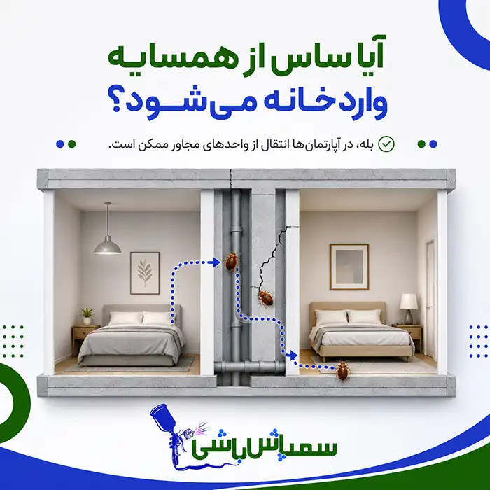 آیا ساس از همسایه وارد خانه می‌شود؟