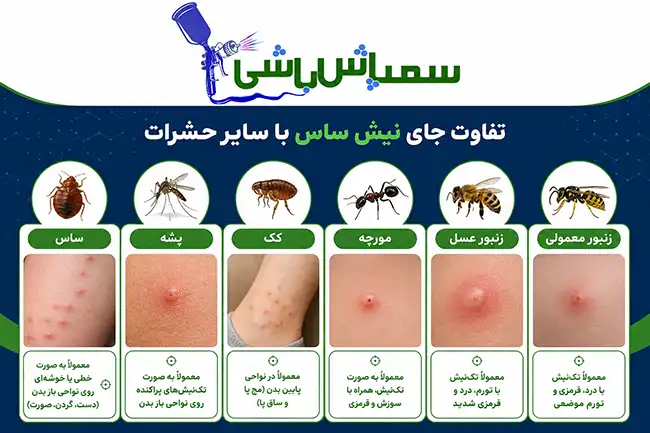 تفاوت جای نیش ساس با سایر حشرات