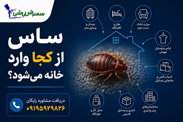 ساس چگونه وارد خانه می‌شود؟