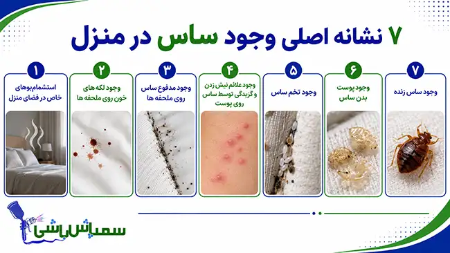 علائم وجود ساس در منزل