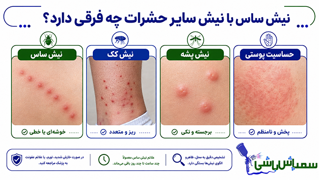 نیش ساس با نیش سایر حشرات چه فرقی دارد؟